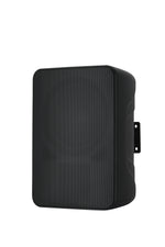 AISPEECH DW80 – Wall-Mount Speaker