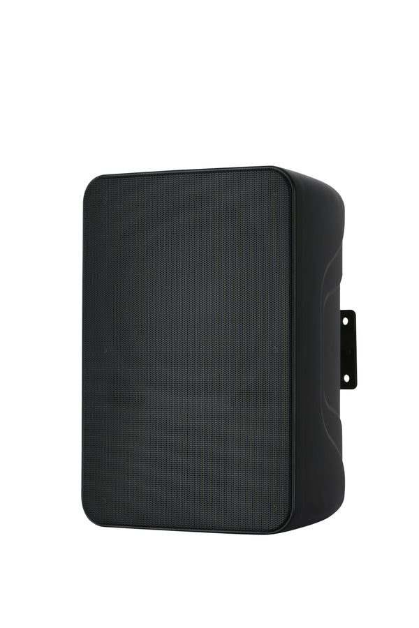 AISPEECH DW80 – Wall-Mount Speaker