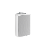 NEARITY ASP110 Professional Loudspeaker