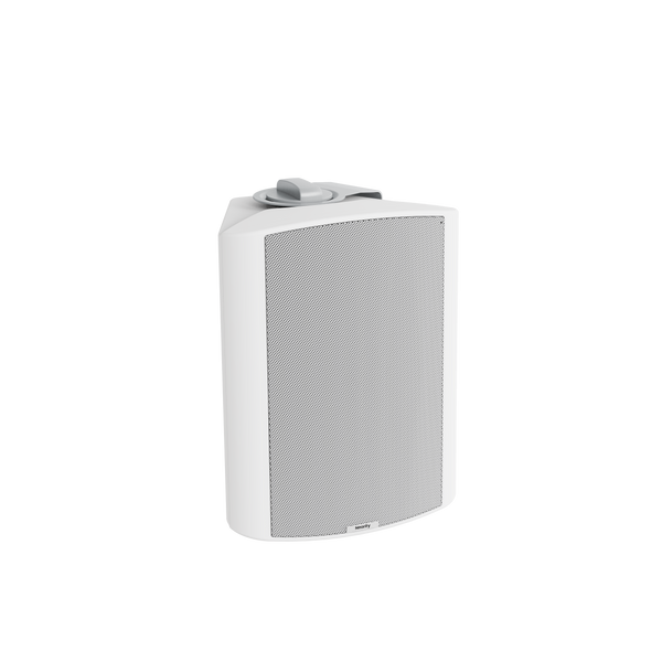 NEARITY ASP110 Professional Loudspeaker