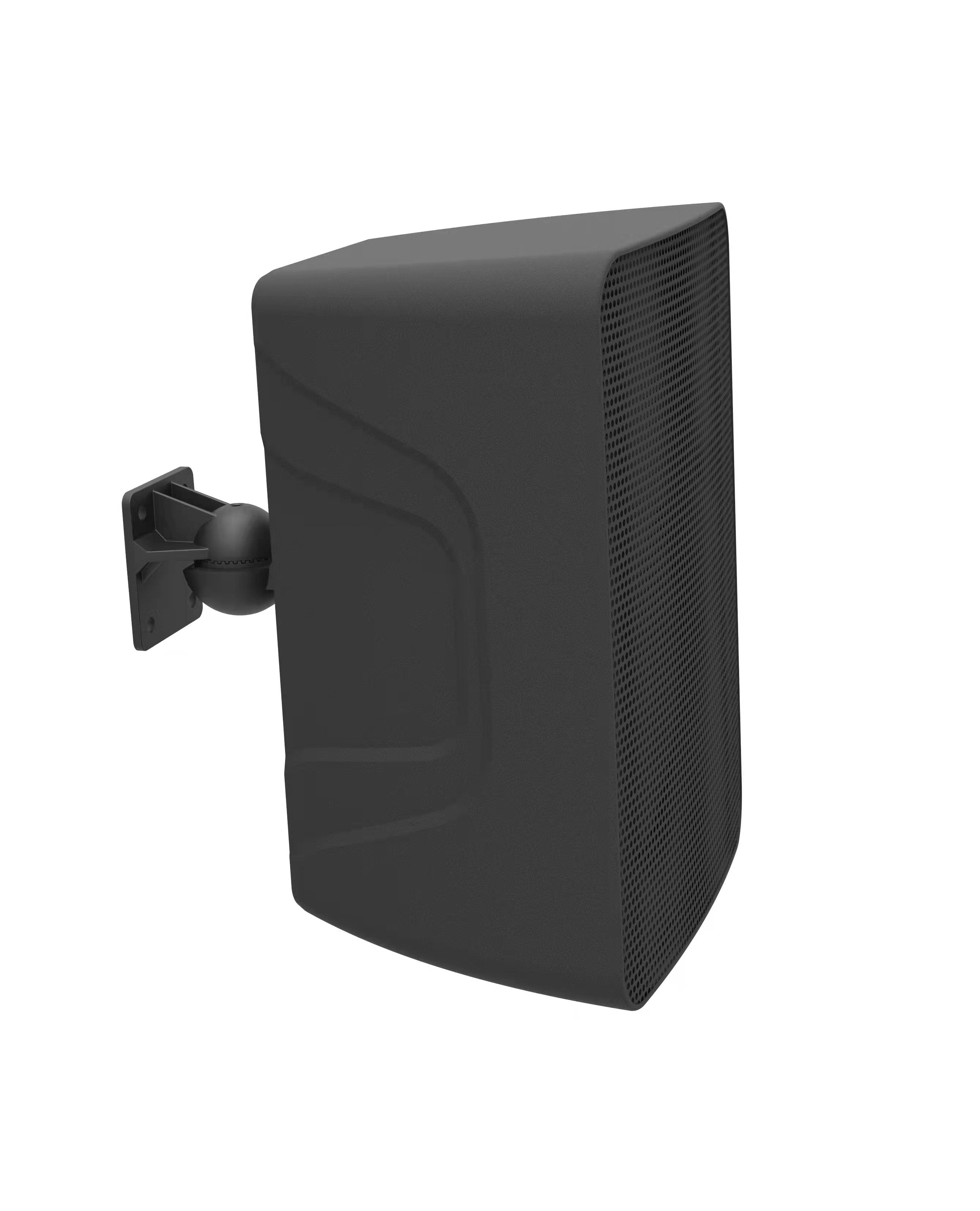 AISPEECH DW80 – Wall-Mount Speaker
