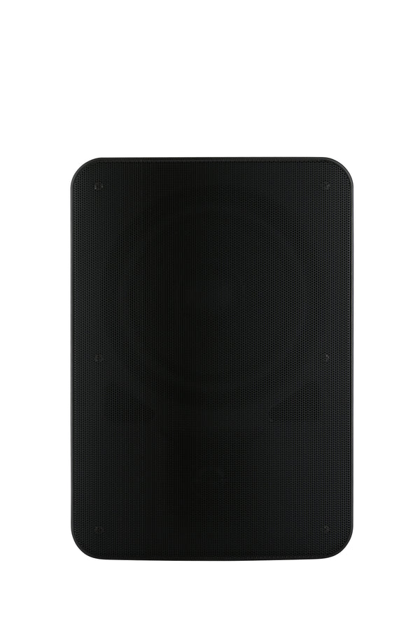 AISPEECH DW80 – Wall-Mount Speaker