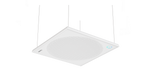 NEARITY A50 – AI-Powered Ceiling Array Microphone for Large Spaces